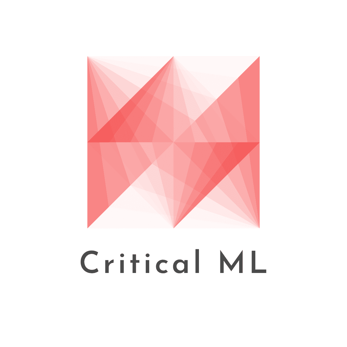 Critical Machine Learning Lab mark